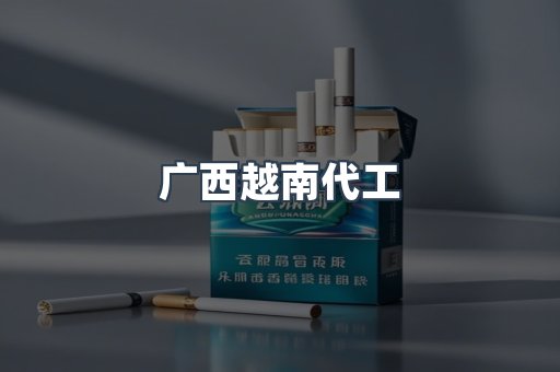 广西越南代工